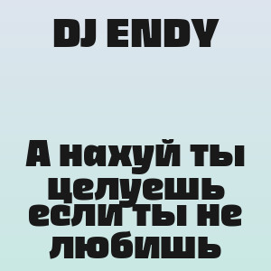 DJ ENDY - А нахуй ты целуешь если ты не любишь